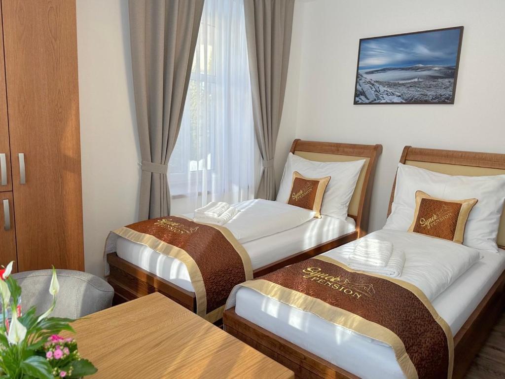 Synek Pension Špindlerŭv Mlýn Εξωτερικό φωτογραφία